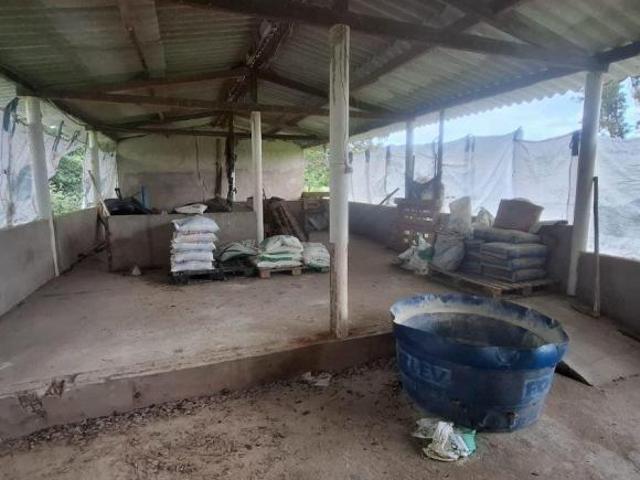 Sítio e chácara venda em Região Geográfica Imediata de São Francisco, Chapada Gaúcha