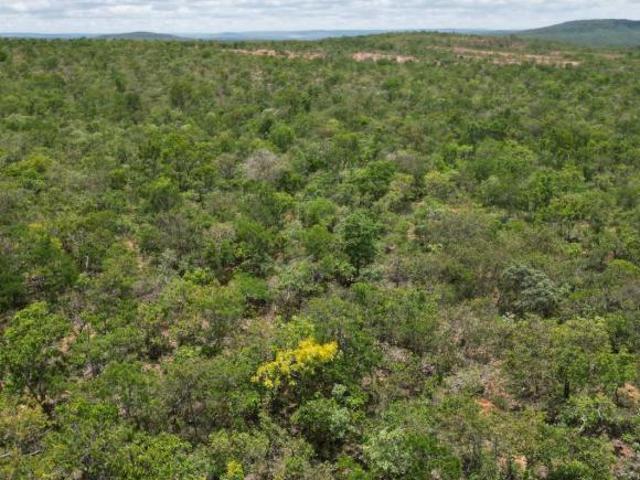 Sítio e chácara venda em Região Geográfica Imediata de Patos de Minas, São Gonçalo do Abaeté