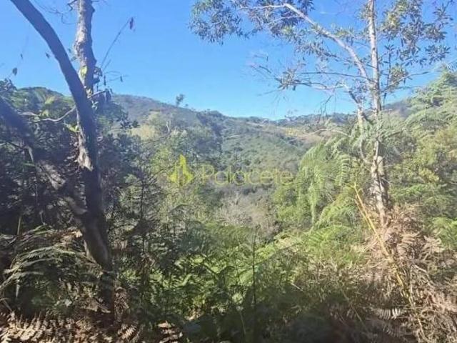 Sítio e chácara venda em Região Imediata de Guaratinguetá, Região Metropolitana do Vale do Paraíba e Litoral Norte