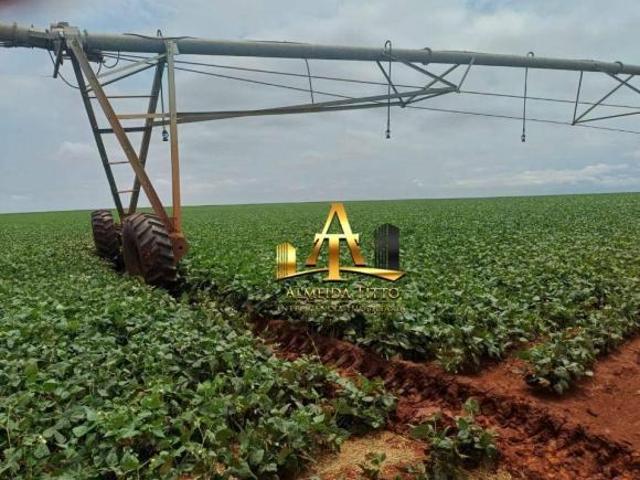 Sítio e chácara venda em Região Imediata de Itapeva, Itaberá