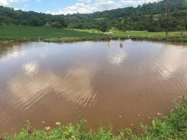 Sítio e chácara venda em Região Geográfica Imediata de Londrina, Sabáudia