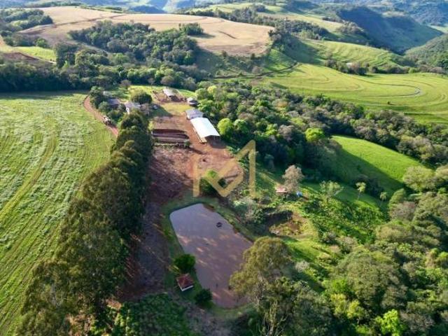 Sítio e chácara venda em Ibema, Região Geográfica Intermediária de Cascavel