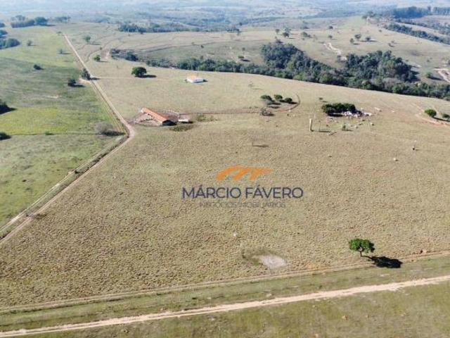 Sítio e chácara venda em Pardinho