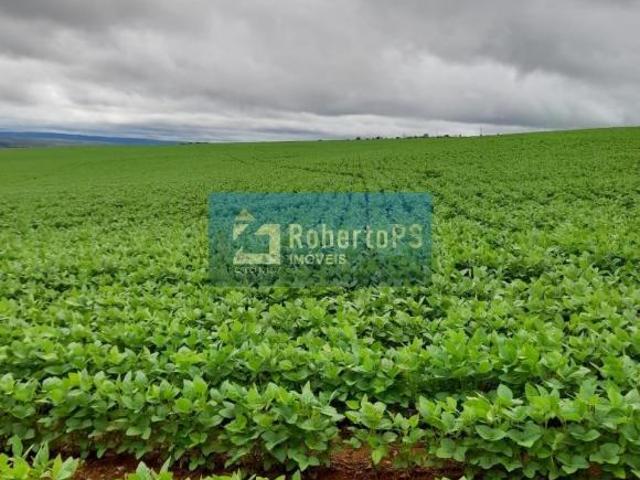 Sítio e chácara venda em Região Geográfica Imediata de Flores de Goiás, São João d'Aliança