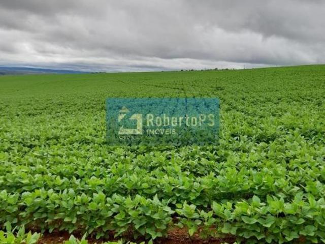 Sítio e chácara venda em Região Geográfica Imediata de Flores de Goiás, São João d'Aliança