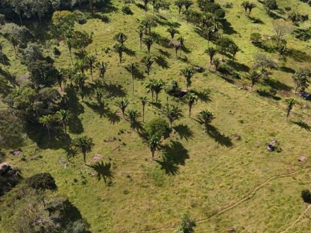 Sítio e chácara venda em Região Geográfica Imediata de Anápolis, Região Integrada de Desenvolvimento do Distrito Federal e Entorno