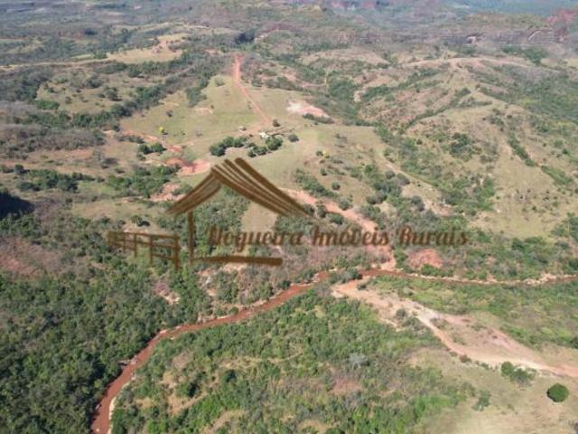 Sítio e chácara venda em Região Geográfica Imediata de Rondonópolis, Pedra Preta