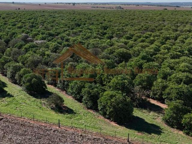 Sítio e chácara venda em Avaré, Região Geográfica Intermediária de Sorocaba