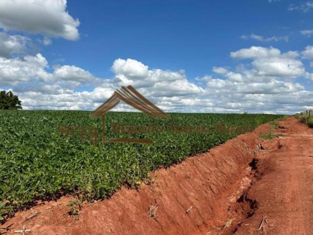 Sítio e chácara venda em Região Geográfica Imediata de Santo Antônio da Platina, Carlópolis