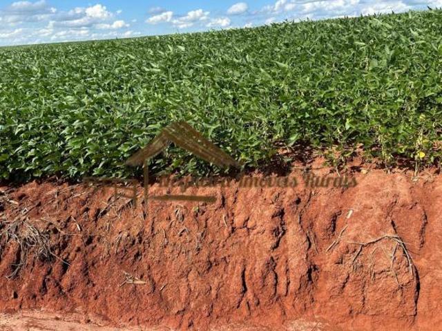Sítio e chácara venda em Região Geográfica Imediata de Santo Antônio da Platina, Carlópolis