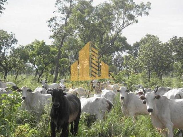 Sítio e chácara venda em Região Geográfica Imediata de Confresa - Vila Rica, São Felix do Araguaia