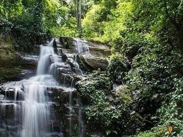 Sítio e chácara venda em Francisco Morato, São Paulo