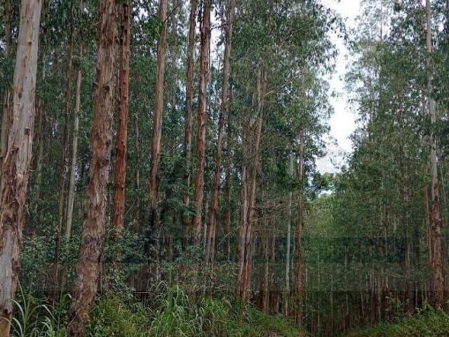 Sítio e chácara venda em Região Geográfica Imediata de Curitiba, Região Metropolitana de Curitiba