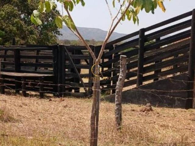 Sítio e chácara venda em Buritis, Região Geográfica Intermediária de Patos de Minas