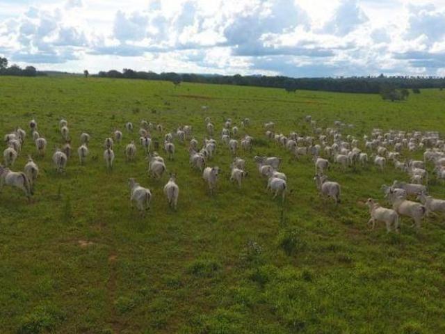 Sítio e chácara venda em Região Geográfica Imediata de Cuiabá, Região Metropolitana do Vale do Rio Cuiabá