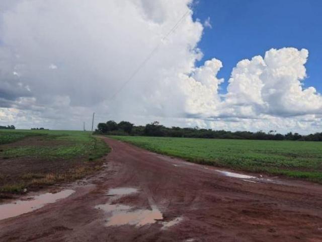 Sítio e chácara venda em Região Geográfica Imediata de Água Boa, Canarana