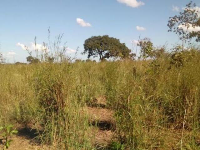 Sítio e chácara venda em Região Geográfica Imediata de Água Boa, Cocalinho