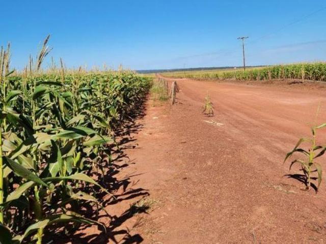 Sítio e chácara venda em Região Geográfica Imediata de Rondonópolis, Rondonópolis