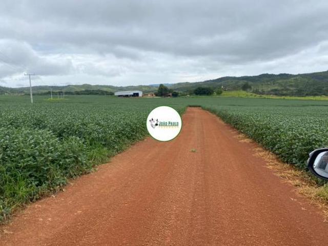 Sítio e chácara venda em Região Geográfica Imediata de Flores de Goiás, Região Integrada de Desenvolvimento do Distrito Federal e Entorno