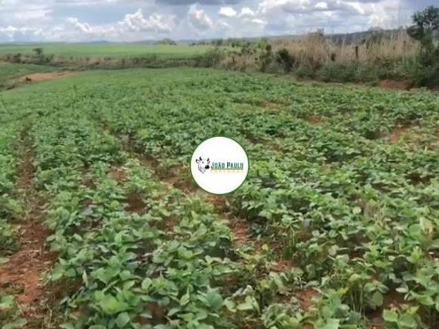 Sítio e chácara venda em Região Geográfica Imediata de Flores de Goiás, Região Integrada de Desenvolvimento do Distrito Federal e Entorno