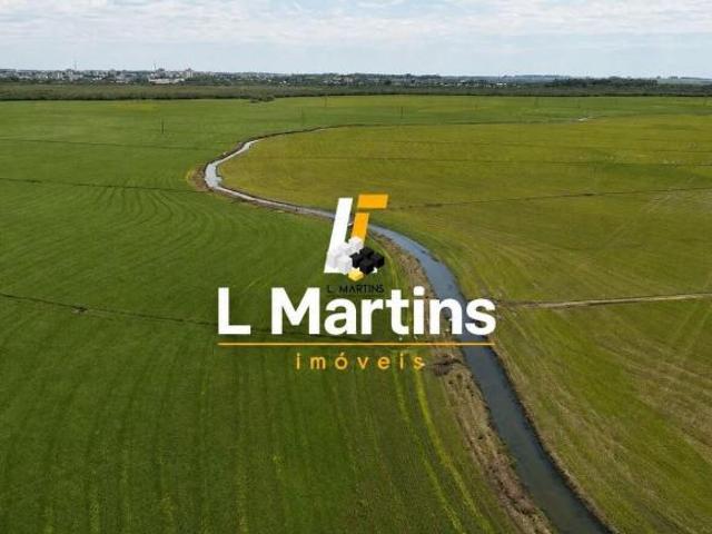 Sítio e chácara venda em Região Geográfica Imediata de Uruguaiana, Alegrete