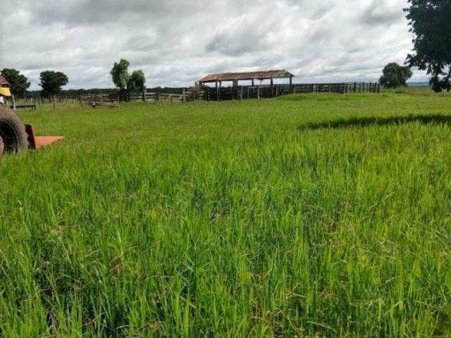 Sítio e chácara venda em Região Geográfica Imediata de Rondonópolis, Alto Garças