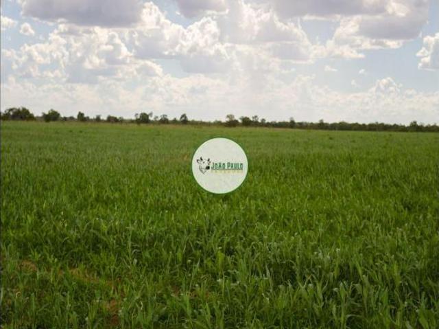 Sítio e chácara venda em Região Geográfica Imediata de Posse-Campos Belos, Alvorada do Norte