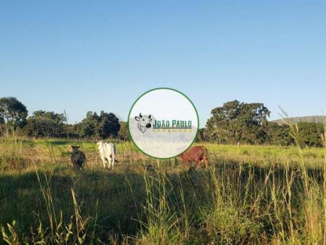 Sítio e chácara venda em Região Geográfica Imediata de Posse-Campos Belos, Alvorada do Norte