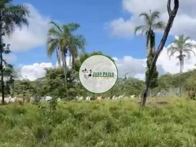 Sítio e chácara venda em Região Geográfica Imediata de Posse-Campos Belos, Alvorada do Norte