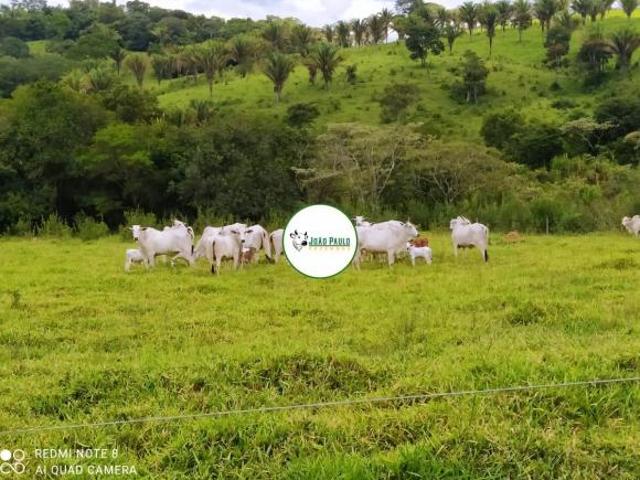 Sítio e chácara venda em Região Geográfica Imediata de Anápolis, Anápolis