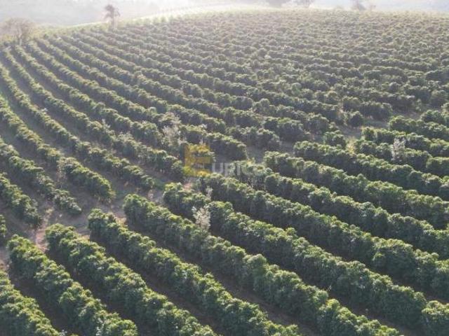 Sítio e chácara venda em Região Geográfica Imediata de Poços de Caldas, Andradas