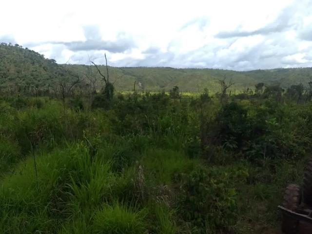 Fazenda venda em Região Geográfica Imediata de Araguaína, Babaculândia