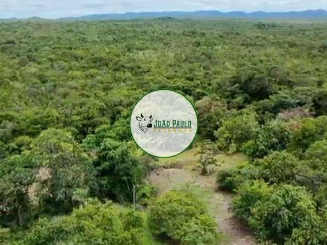 Sítio e chácara venda em Região Geográfica Imediata de Goiás - Itapuranga, Araguapaz