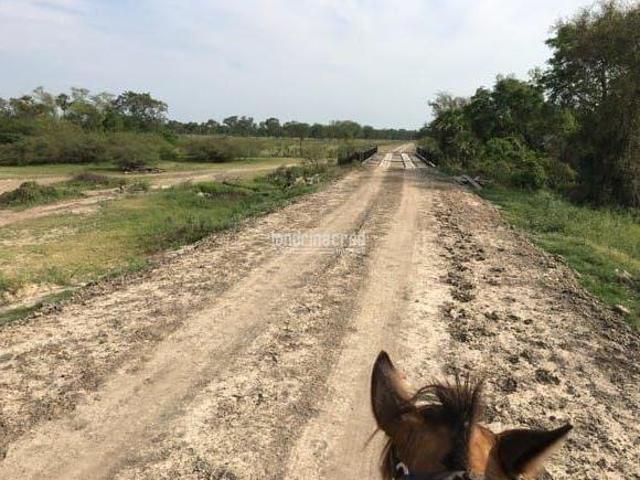 Sítio e chácara venda em Região Geográfica Imediata de Corumbá, Corumba