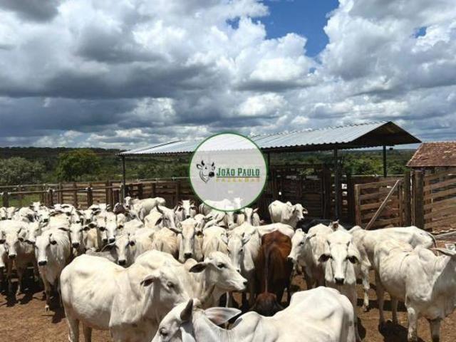 Sítio e chácara venda em Região Geográfica Imediata de Unaí, Arinos