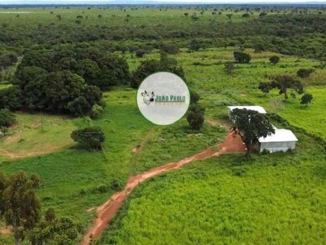 Sítio e chácara venda em Região Geográfica Imediata de Unaí, Arinos