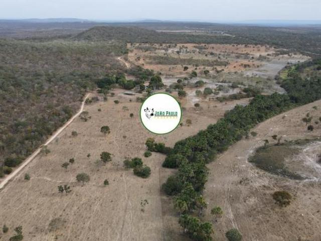 Sítio e chácara venda em Região Geográfica Imediata de Unaí, Arinos