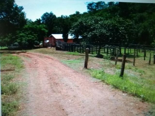 Fazenda venda em Região Geográfica Imediata de Ceres - Rialma - Goianésia, Barro Alto