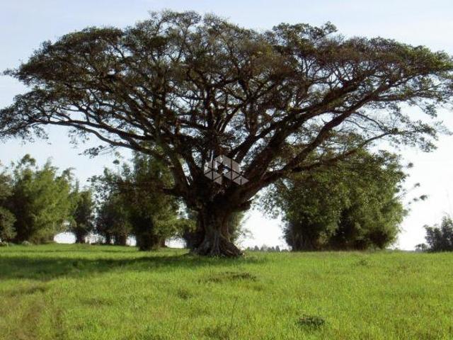 Sítio e chácara venda em Região Geográfica Imediata de Porto Alegre, Região Metropolitana de Porto Alegre
