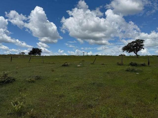 Sítio e chácara venda em Região Geográfica Imediata de Iporá, Bom Jardim de Goiás