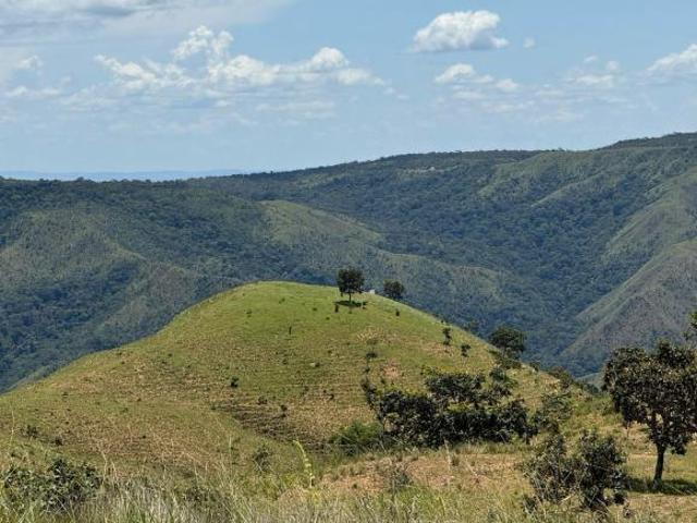 Sítio e chácara venda em Região Geográfica Imediata de Iporá, Bom Jardim de Goiás