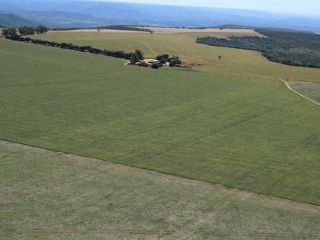 Sítio e chácara venda em Região Geográfica Imediata de Unaí, Bonfinópolis de Minas