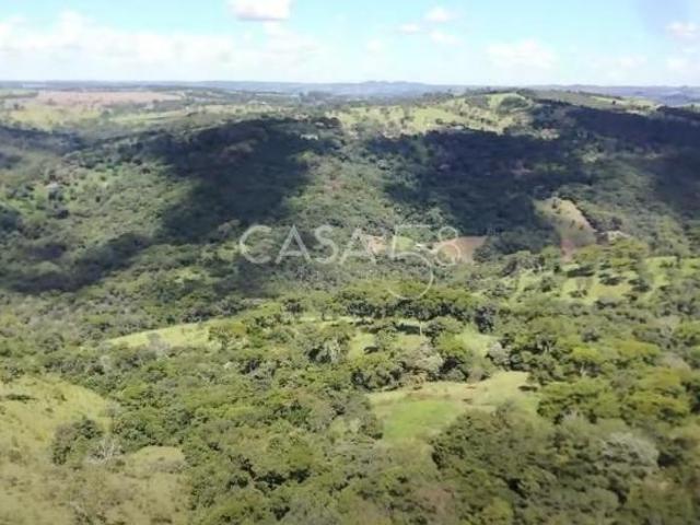 Sítio e chácara venda em Região Geográfica Imediata de Goiânia, Bonfinópolis