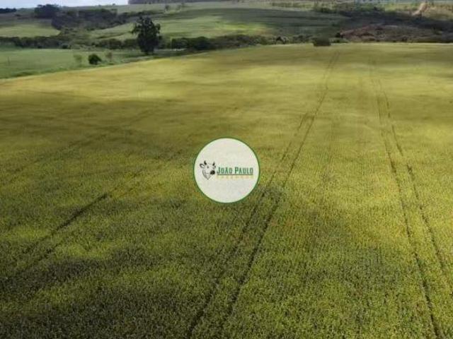 Sítio e chácara venda em Região Geográfica Imediata do Distrito Federal, Região Integrada de Desenvolvimento do Distrito Federal e Entorno