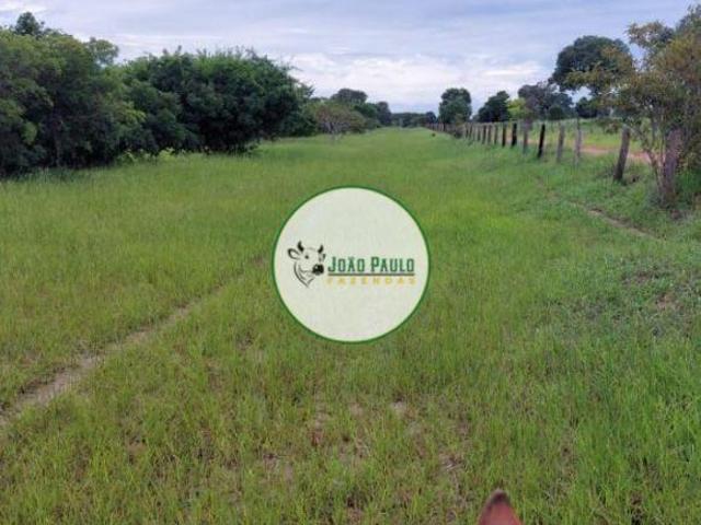 Sítio e chácara venda em Região Geográfica Imediata de Goiás - Itapuranga, Britânia