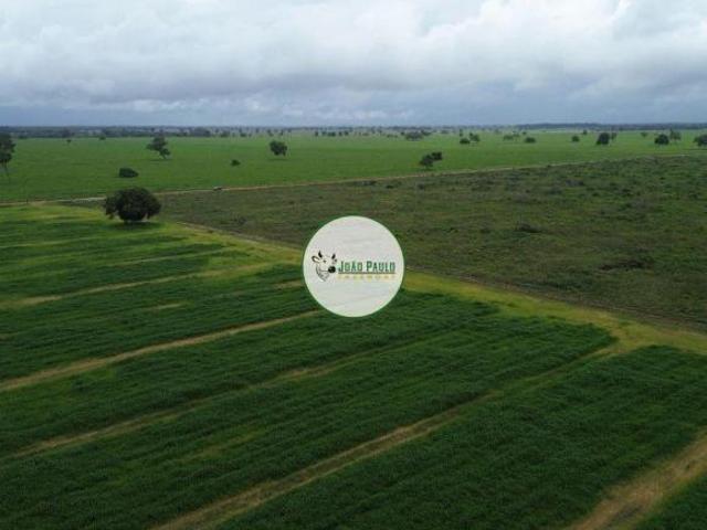 Sítio e chácara venda em Região Geográfica Imediata de Goiás - Itapuranga, Britânia