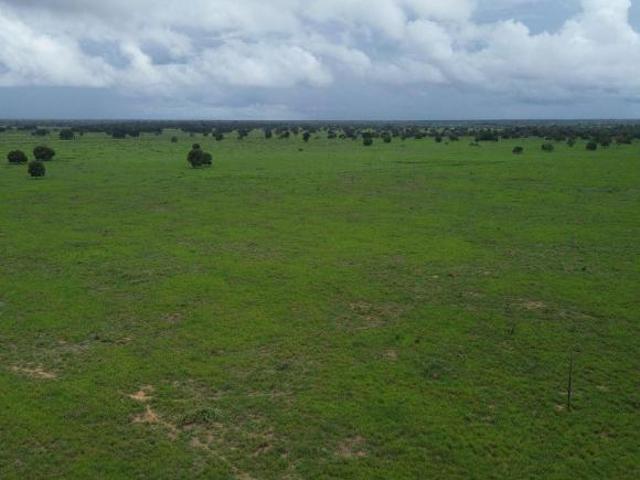 Sítio e chácara venda em Região Geográfica Imediata de Goiás - Itapuranga, Britânia