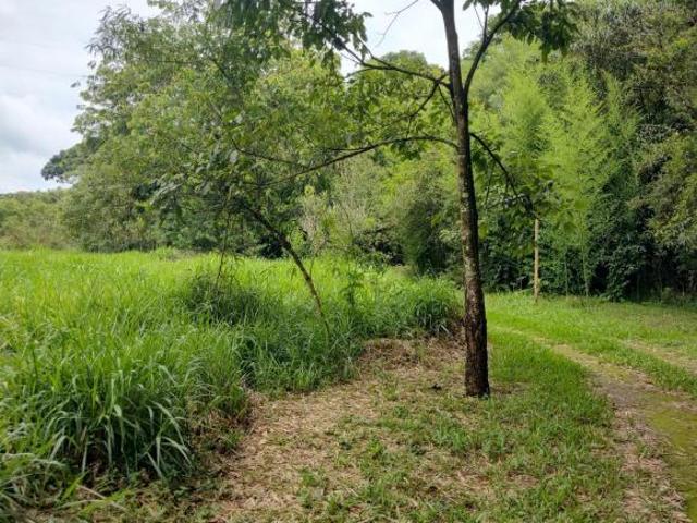Sítio e chácara venda em Região Geográfica Imediata de Belo Horizonte, Região Metropolitana de Belo Horizonte