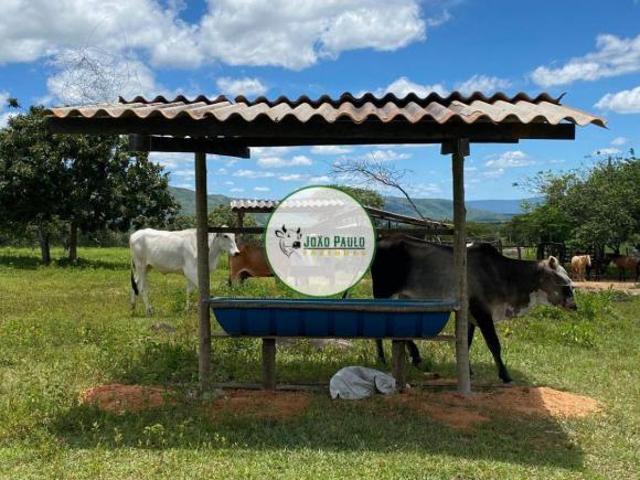 Sítio e chácara venda em Região Geográfica Imediata de Unaí, Região Integrada de Desenvolvimento do Distrito Federal e Entorno