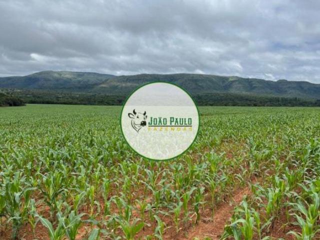 Sítio e chácara venda em Região Geográfica Imediata de Unaí, Região Integrada de Desenvolvimento do Distrito Federal e Entorno